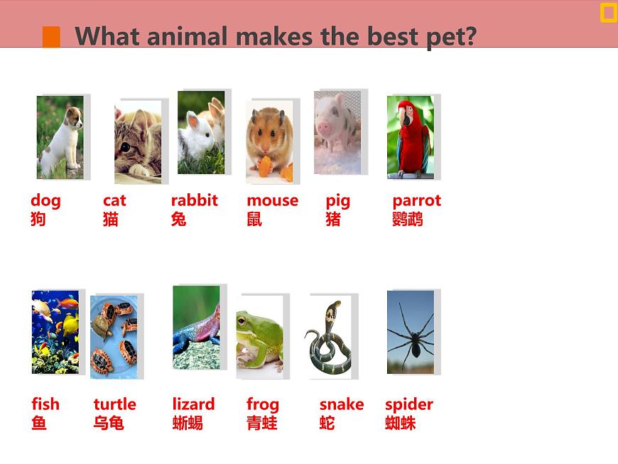 牛津版（深圳廣州）八年下冊(cè)第六單元課件 Uint6 Pets Writing第4頁(yè)