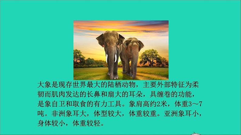 英语人教版八年级下册同步教学课件unit 7 what’s the highest mountain in the world sectionb(1a-1d)第6页