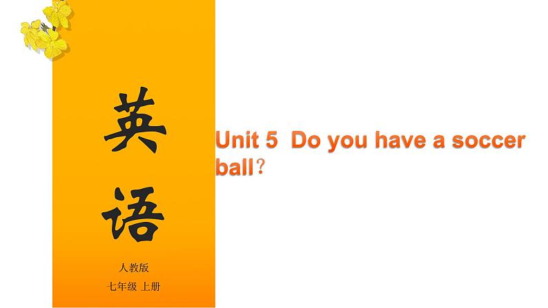 Unit 5 Do you have a soccer ball?(课件)-2020-2021学年七年级上学期英语单元完美同步梳理(人教版)第1页