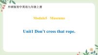 初中英语外研版 (新标准)九年级上册Unit 1 Don’t cross that rope!教案配套课件ppt