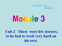 初中英语外研版 (新标准)九年级上册Unit 2There were few doctors, so he had to work very hard on his own.教学课件ppt