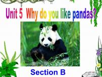 英语七年级下册Section B图片ppt课件