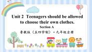 初中鲁教版 (五四制)Section A图片ppt课件