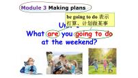 七年级下册Module 3 Making plansUnit 1 What are you going to do at the weekends?课文ppt课件
