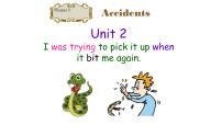 英语八年级上册Unit 2 I was trying to pick it up when it bite me again.教学演示ppt课件