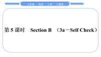 初中Section B习题课件ppt