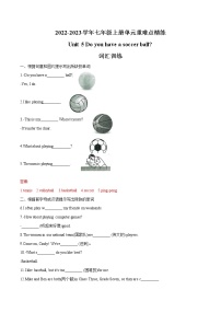 Unit 5  2022-2023学年七年级上册单元重难点精练 (词汇+语法+单元检测卷)