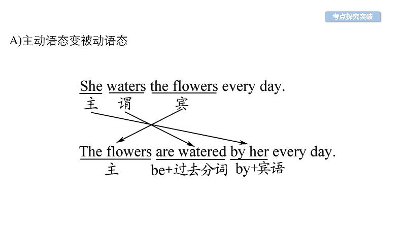 中考英语复习第29讲动词的语态精讲课件第5页