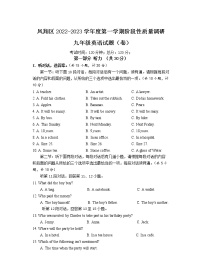 陕西省宝鸡市凤翔区2022-2023学年九年级上学期期中考试英语试题(含答案)