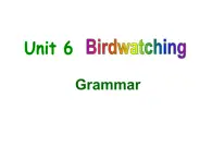 Unit6 Birdwatching Grammar课件 译林版英语八年级上册