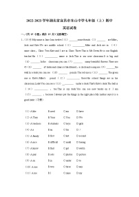 湖北省宜昌市东山中学2022-2023学年七年级（上学期）期中英语试卷(含答案)