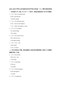 山东省泰安市东平县2022-2023学年七年级（上学期）期中英语试卷(含答案)