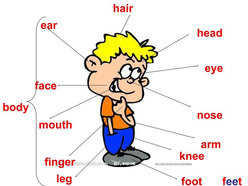 七年级下册 Module 11 Body language Unit 1 They touch noses课件第2页