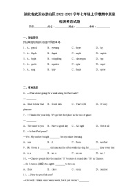 湖北省武汉市洪山区2022-2023学年七年级上学期期中质量检测英语试题(含答案)