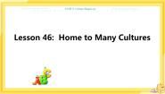 初中英语Lesson 46 Home to Many Cultures优秀ppt课件