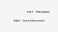 牛津译林版八年级上册Task习题课件ppt