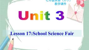 Unit 3 lesson 17课件