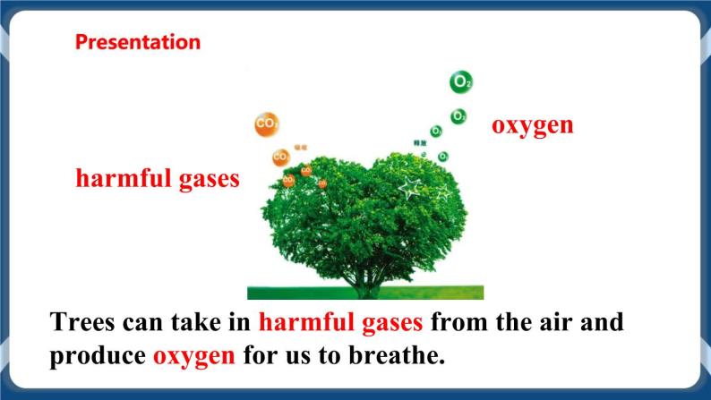 Unit 4 Save the trees Period 1 Reading I课件+教案+导学案+素材05