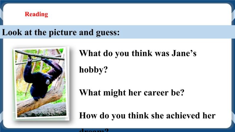Unit 8 From hobby to career Period 4 More practice & culture corner 课件+教案+导学案+素材03