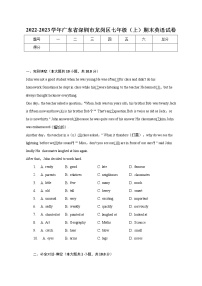 广东省深圳市龙岗区2022-2023学年七年级上学期期末英语试卷(含答案)