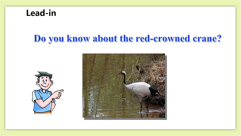 Unit 5 Save the endangered animals Period 4 MP,Study Skills & Culture Corner课件+导学案+教学设计03