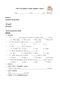 人教新目标 (Go for it) 版八年级上册Section B学案