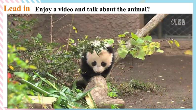 Unit 5 Why do you like pandas？SectionA (1a-2d) 课件+音视频（送教案练习）02