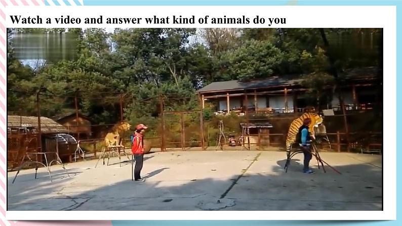 Unit 5 Why do you like pandas?SectionA (Grammarfocus-3c) 课件+音视频(送教案练习)02