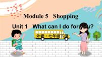 初中英语外研版 (新标准)七年级下册Module 5 ShoppingUnit 1 What can I do for you?图文ppt课件
