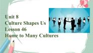初中英语冀教版九年级下册Lesson 46 Home to Many Cultures优秀备课课件ppt