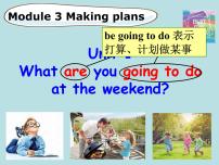 外研版 (新标准)七年级下册Unit 1 What are you going to do at the weekends?课前预习课件ppt