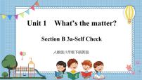 初中英語人教新目標(biāo) (Go for it) 版八年級下冊Section B優(yōu)質(zhì)課件ppt