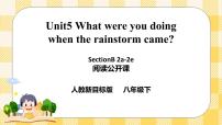 初中英語人教新目標(biāo) (Go for it) 版八年級下冊Section B一等獎ppt課件