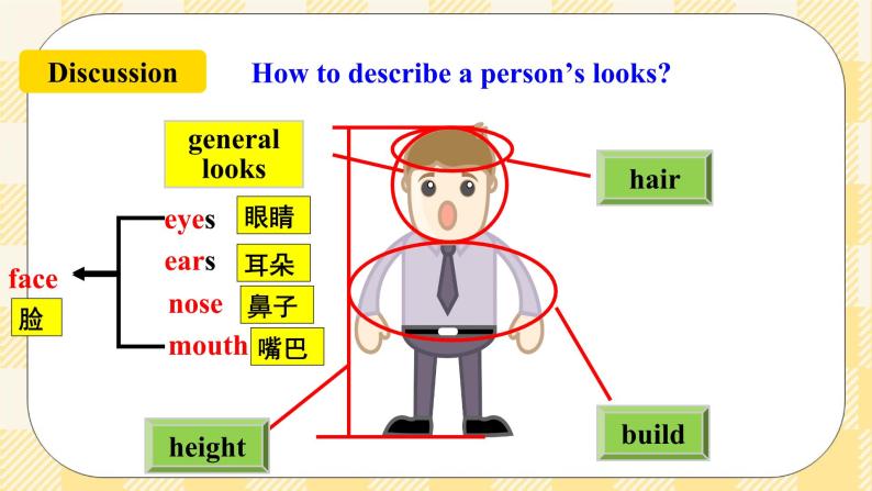 Unit9 What does he look like？SectionB (1a-1e ) 课件+导学案+音视频03