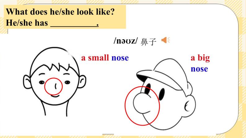 Unit9 What does he look like？SectionB (1a-1e ) 课件+导学案+音视频07