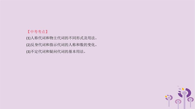 初中英语中考复习 中考英语总复习第二篇语法突破篇语法互动03代词课件第3页