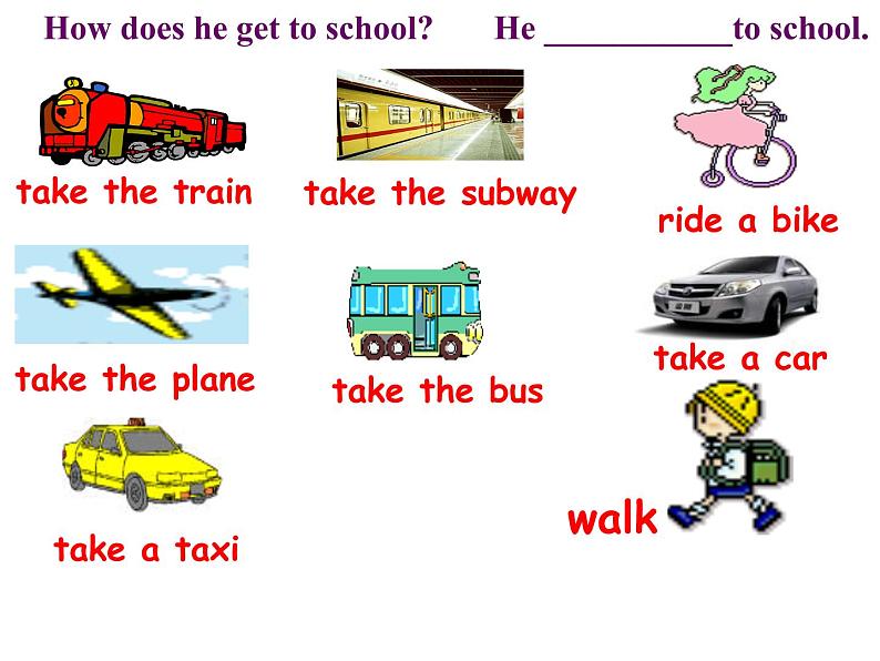 鲁教版六年级下册Unit5 How do you go to school Section A1(1a-2e)PPT 课件07