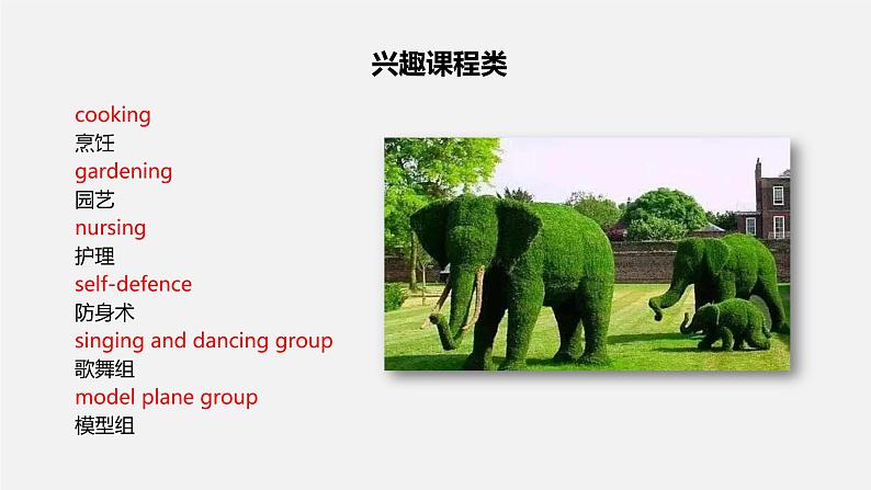 初中英语中考复习 专题08 社会类热点写作-2020年中考英语话题写作冲刺练课件PPT第6页