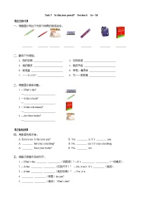 初中英语人教新目标 (Go for it) 版七年级上册Section A学案