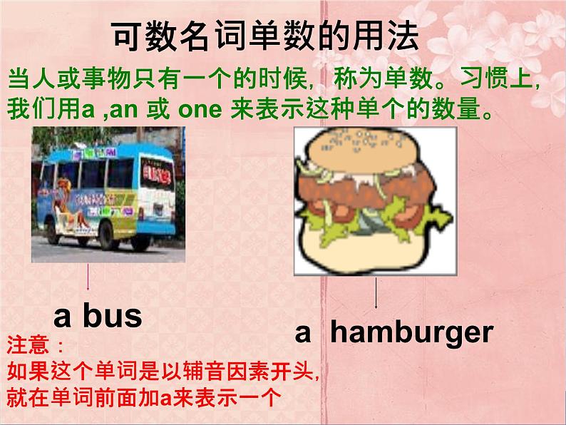 七年级英语(人教新目标)上册 可数名词与不可数名词 复习课件04