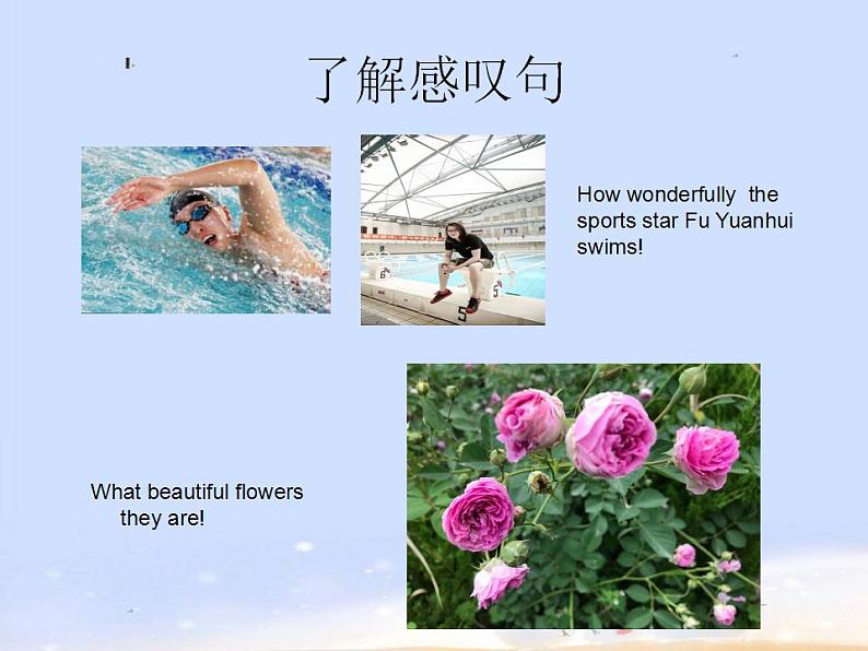中考英语(人教新目标) 感叹句详解 复习课件第3页