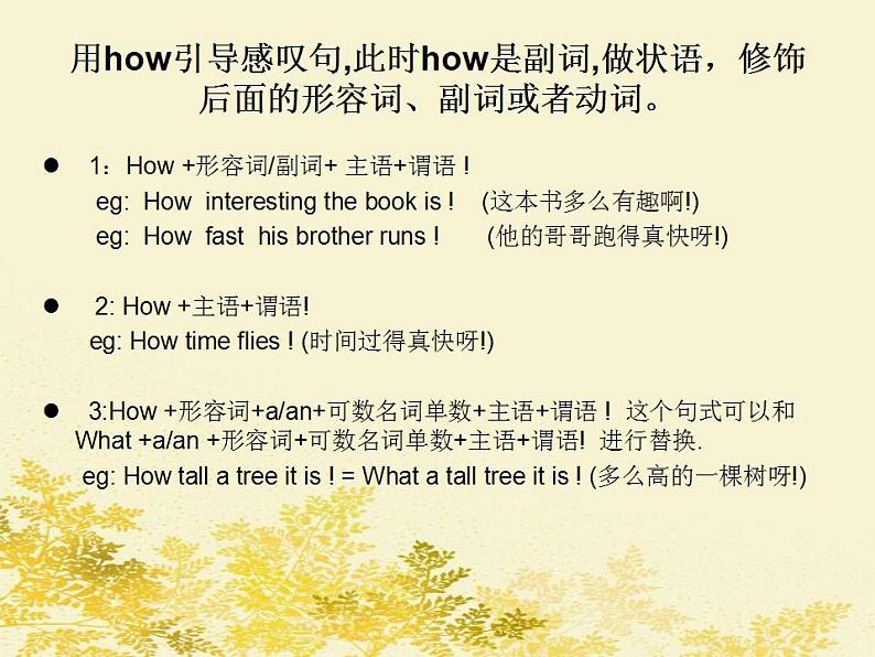 中考英语(人教新目标) 感叹句详解 复习课件第6页