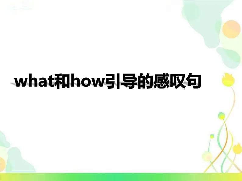 9年级人教版全一册  what和how引导的感叹句   课件01