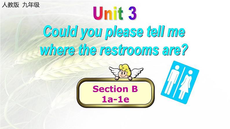 9年级人教版全一册Unit 3 Could you please tell me? Section B 课件501