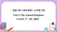 初中Lesson 17 Interesting Animals优秀ppt课件