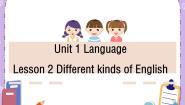 北师大版九年级全册Lesson 2 Different Kinds of Language优秀ppt课件