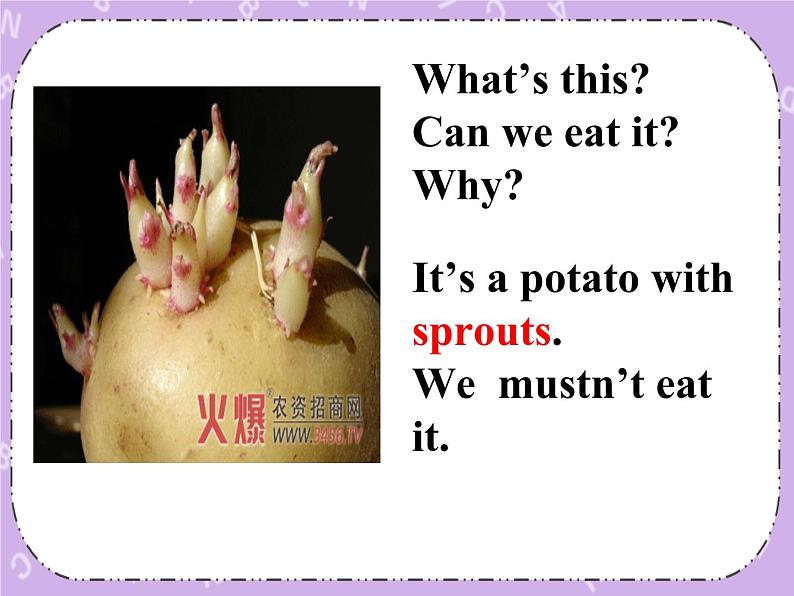 Unit 8 Discoveries《Lesson 24 An experiment report》课件第5页
