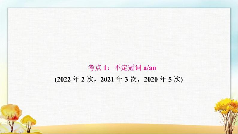 人教版中考英语复习专题突破三冠词教学课件第3页