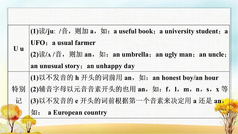 人教版中考英语复习专题突破三冠词教学课件第5页