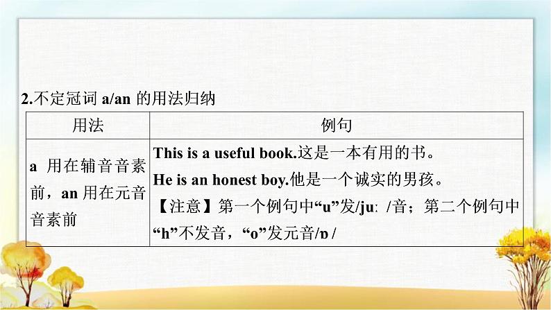 人教版中考英语复习专题突破三冠词教学课件第6页